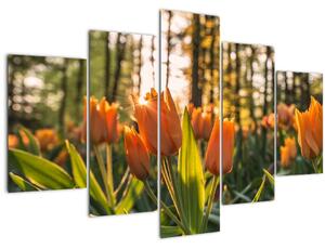 Slika - narančasti tulipani (150x105 cm)