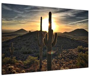 Slika - kaktusi na suncu (90x60 cm)