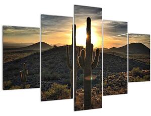 Slika - kaktusi na suncu (150x105 cm)