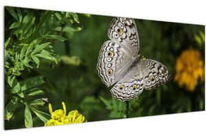 Slika - bijeli leptir (120x50 cm)