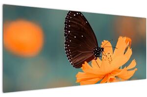 Slika - leptir na narančastom cvijetu (120x50 cm)
