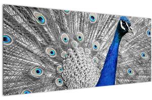 Slika - plavi paun (120x50 cm)