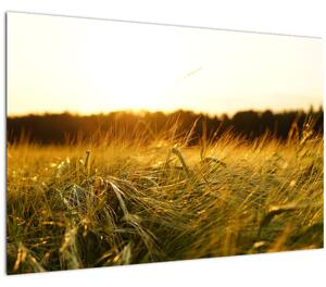 Slika rosne trave (90x60 cm)