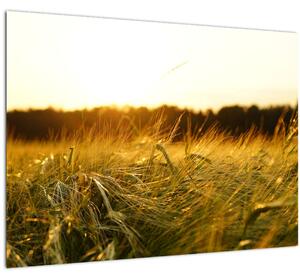 Slika rosne trave (70x50 cm)