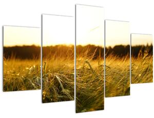 Slika rosne trave (150x105 cm)