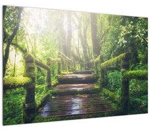 Slika - drvene stepenice u šumi (90x60 cm)