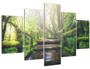 Slika - drvene stepenice u šumi (150x105 cm)