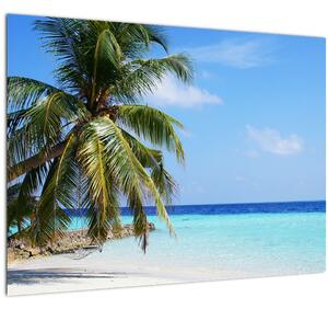 Slika palme na plaži (70x50 cm)