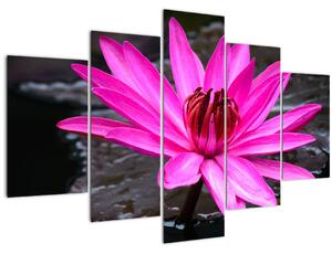 Slika - ružičasti cvijet (150x105 cm)