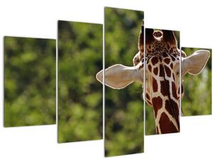 Slika žirafe s leđa (150x105 cm)