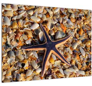 Slika morske zvijezde (70x50 cm)