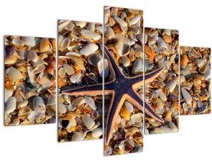 Slika morske zvijezde (150x105 cm)