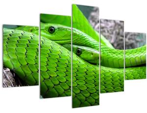 Slika zelenih zmija (150x105 cm)
