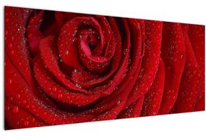 Slika - detalj ruže (120x50 cm)