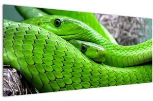 Slika zelenih zmija (120x50 cm)