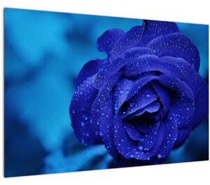 Slika plave ruže (90x60 cm)