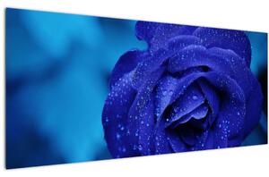 Slika plave ruže (120x50 cm)