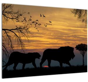Safari slika (70x50 cm)