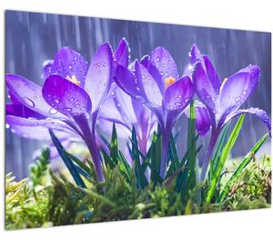 Slika cvijeća na kiši (90x60 cm)
