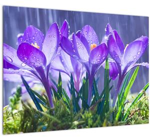 Slika cvijeća na kiši (70x50 cm)