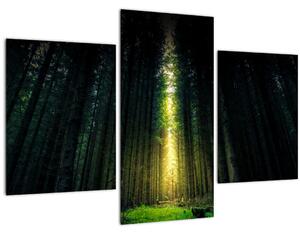 Slika mračne šume (90x60 cm)