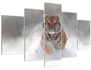 Slika tigra koji trči u snijegu (150x105 cm)