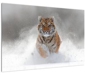 Slika tigra koji trči u snijegu (90x60 cm)