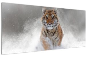 Slika tigra koji trči u snijegu (120x50 cm)