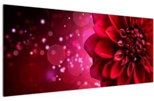 Slika crvenog cvijeta (120x50 cm)