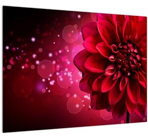 Slika crvenog cvijeta (70x50 cm)