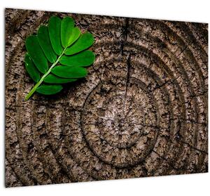 Slika lista na deblu drveta (70x50 cm)