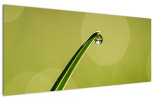 Slika kapi vode na travi (120x50 cm)