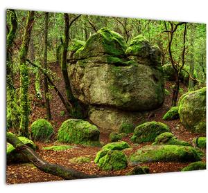 Slika čarobne šume (70x50 cm)