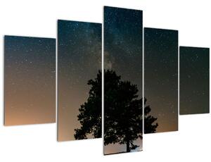 Slika noćnog neba s drvećem (150x105 cm)