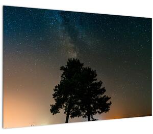 Slika noćnog neba s drvećem (90x60 cm)
