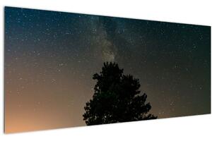 Slika noćnog neba s drvećem (120x50 cm)