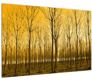 Slika šume pri zalasku sunca (90x60 cm)
