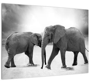 Staklena slika slonova (70x50 cm)