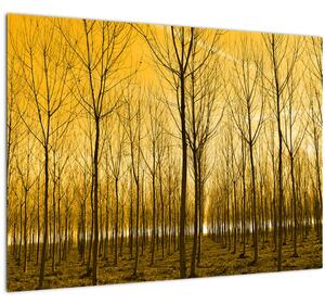 Slika šume pri zalasku sunca (70x50 cm)