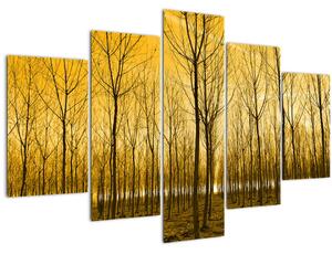 Slika šume pri zalasku sunca (150x105 cm)