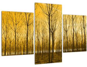 Slika šume pri zalasku sunca (90x60 cm)