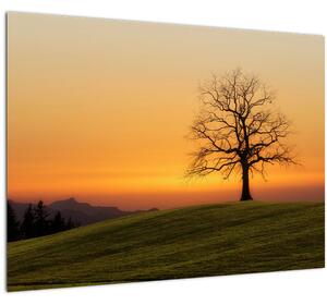 Slika zalaska sunca na livadi (70x50 cm)