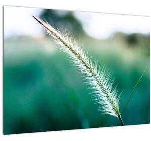 Slika vlati trave (70x50 cm)