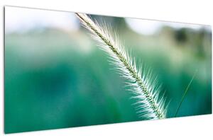Slika vlati trave (120x50 cm)