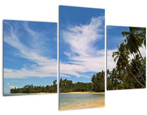 Slika plaže (90x60 cm)