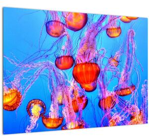 Slika meduza u moru (70x50 cm)