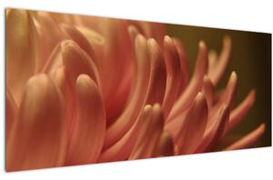 Slika detalja cvijeta (120x50 cm)