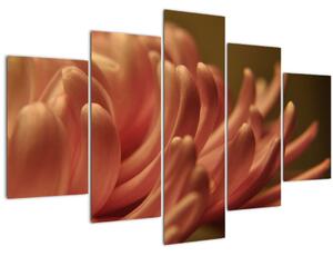 Slika detalja cvijeta (150x105 cm)