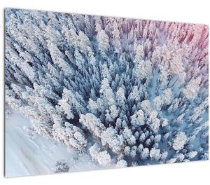 Slika snježnih stabala (90x60 cm)