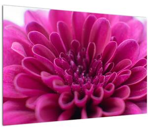 Slika cvijeta (90x60 cm)